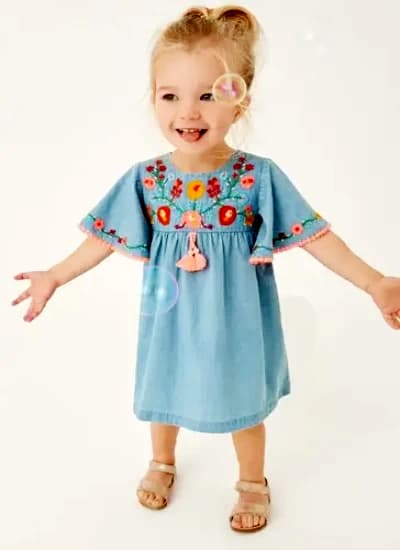 Toddler Blue Embroidered Dress
